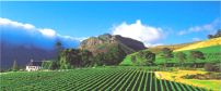 Franschhoek Scenery